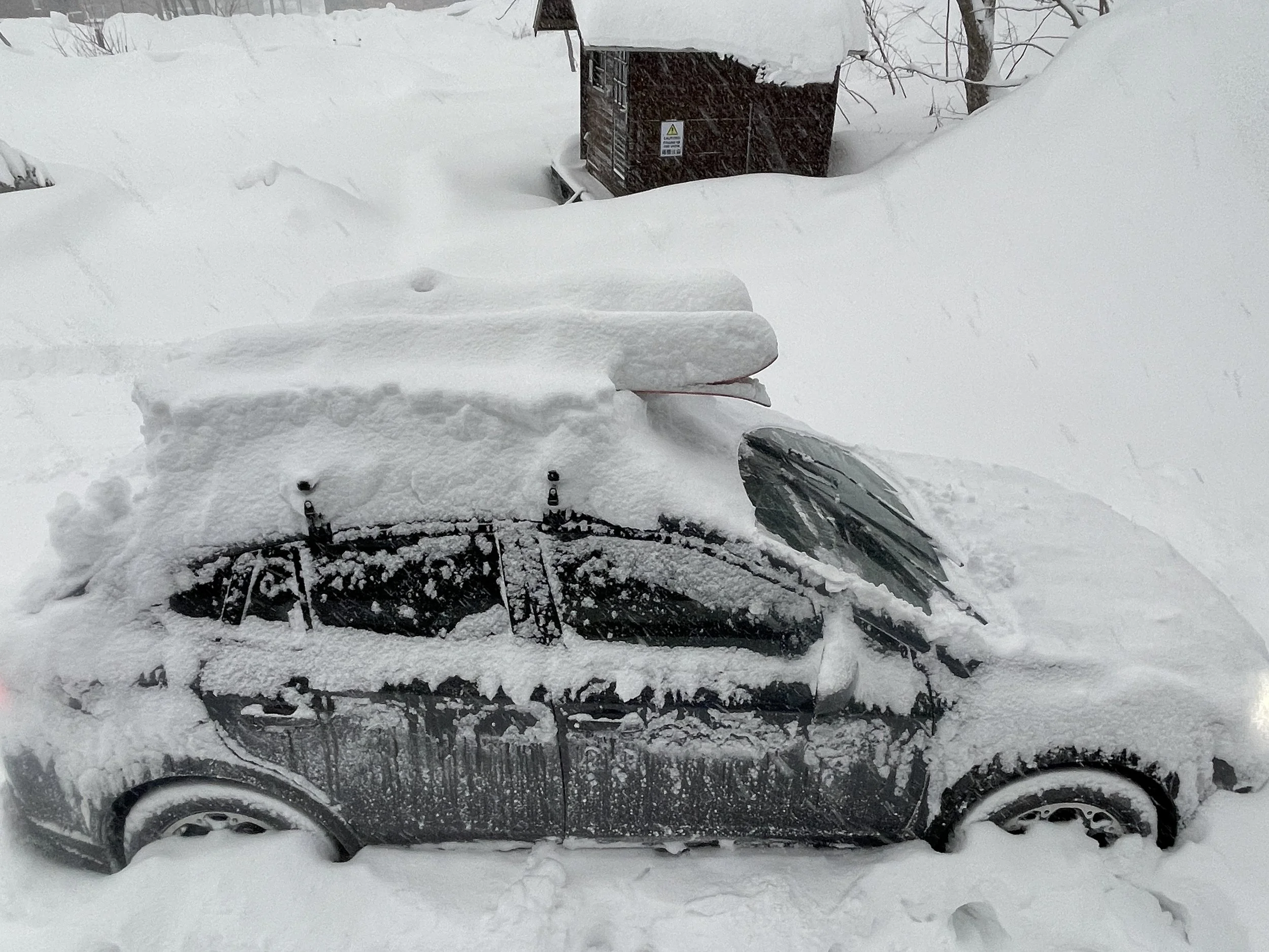 Albertos Super Sled Skiing