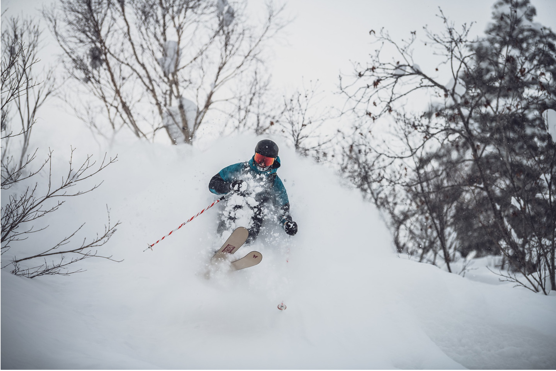 Jay's Multi-Island Powder Adventure