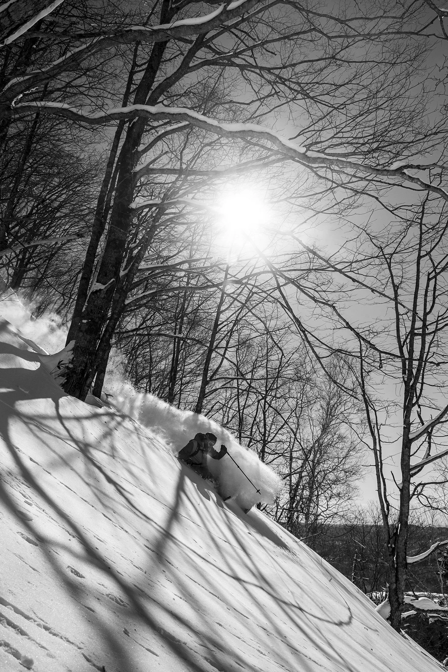 DSC_1252bw.jpg
