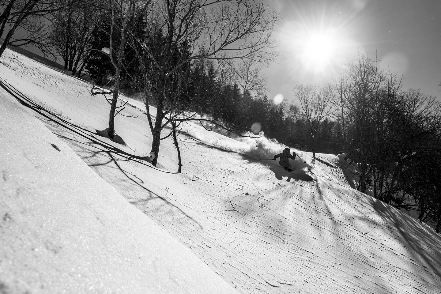 DSC_1141.jpg