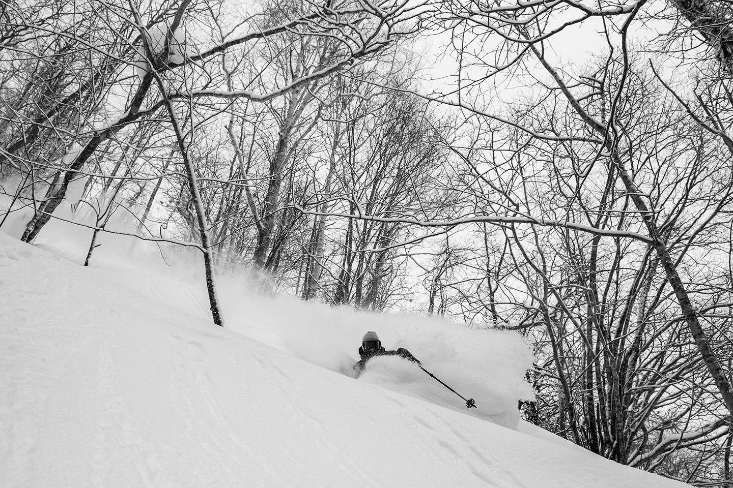 DSC_0509.jpg