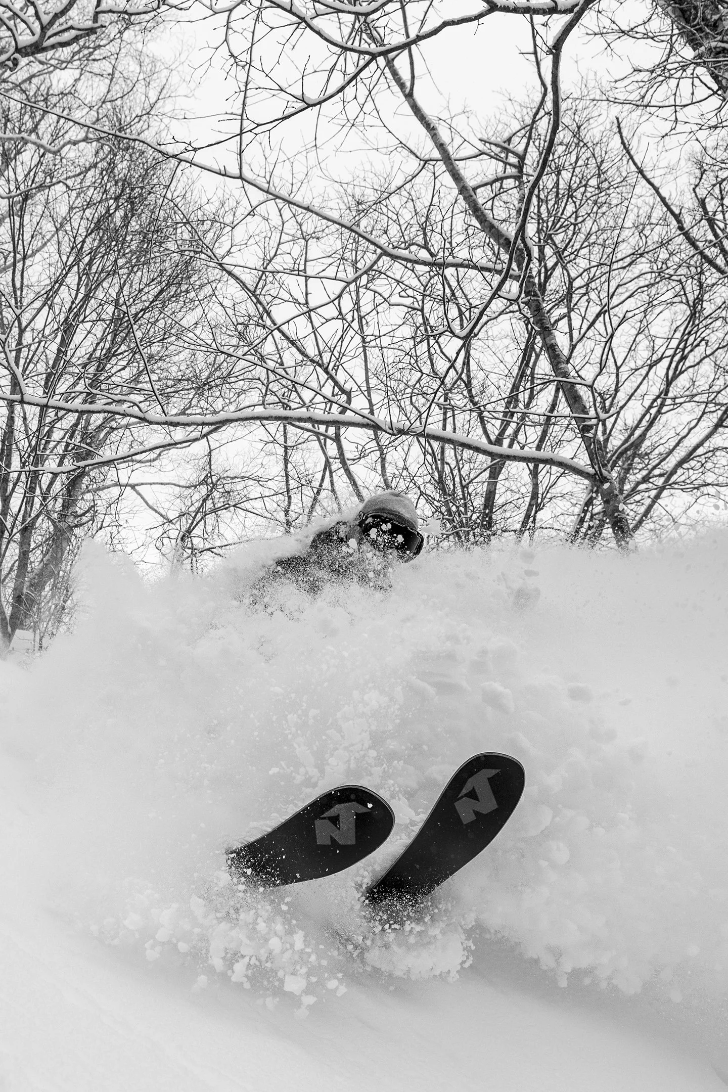 DSC_0513.jpg