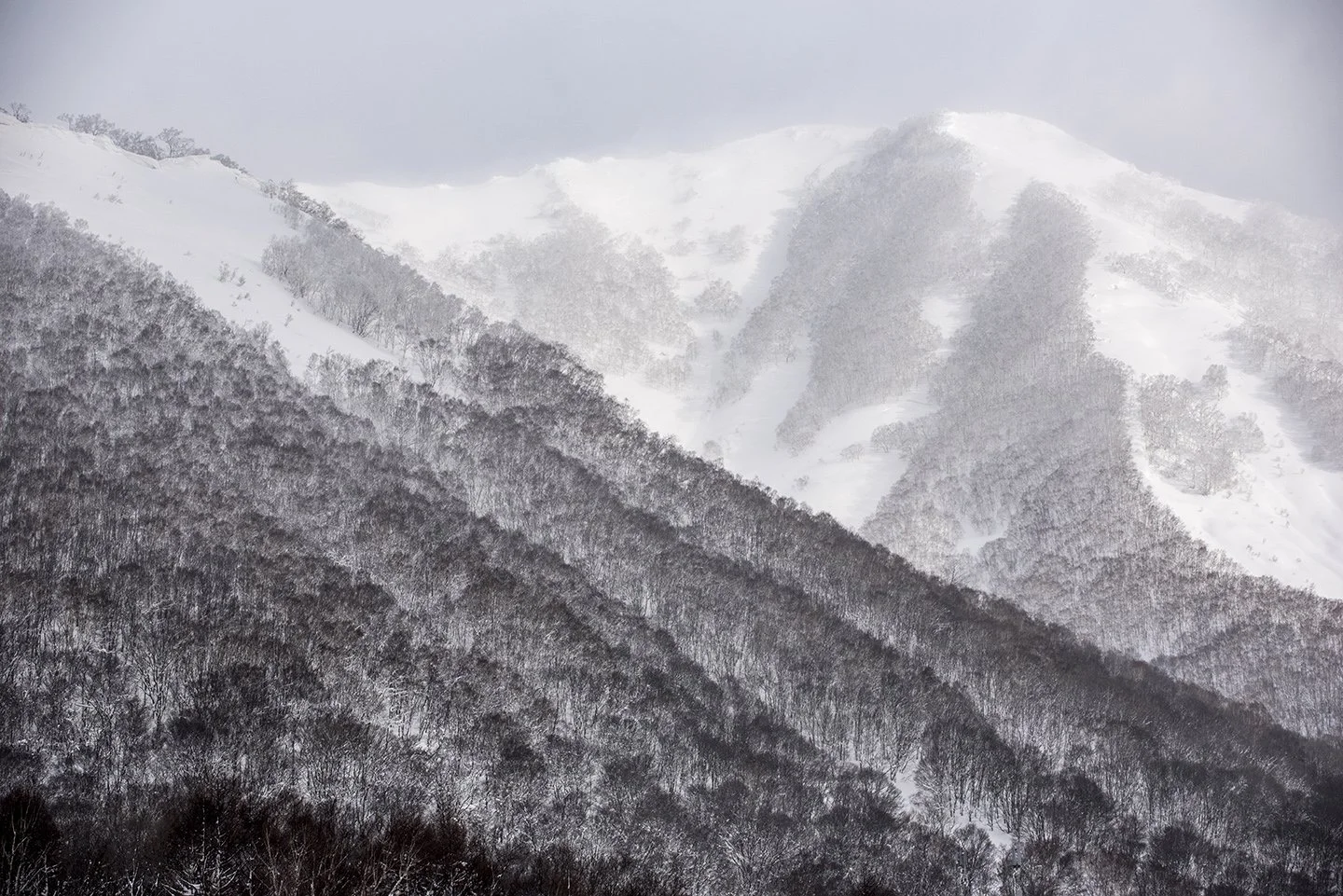 DSC_9569.jpg