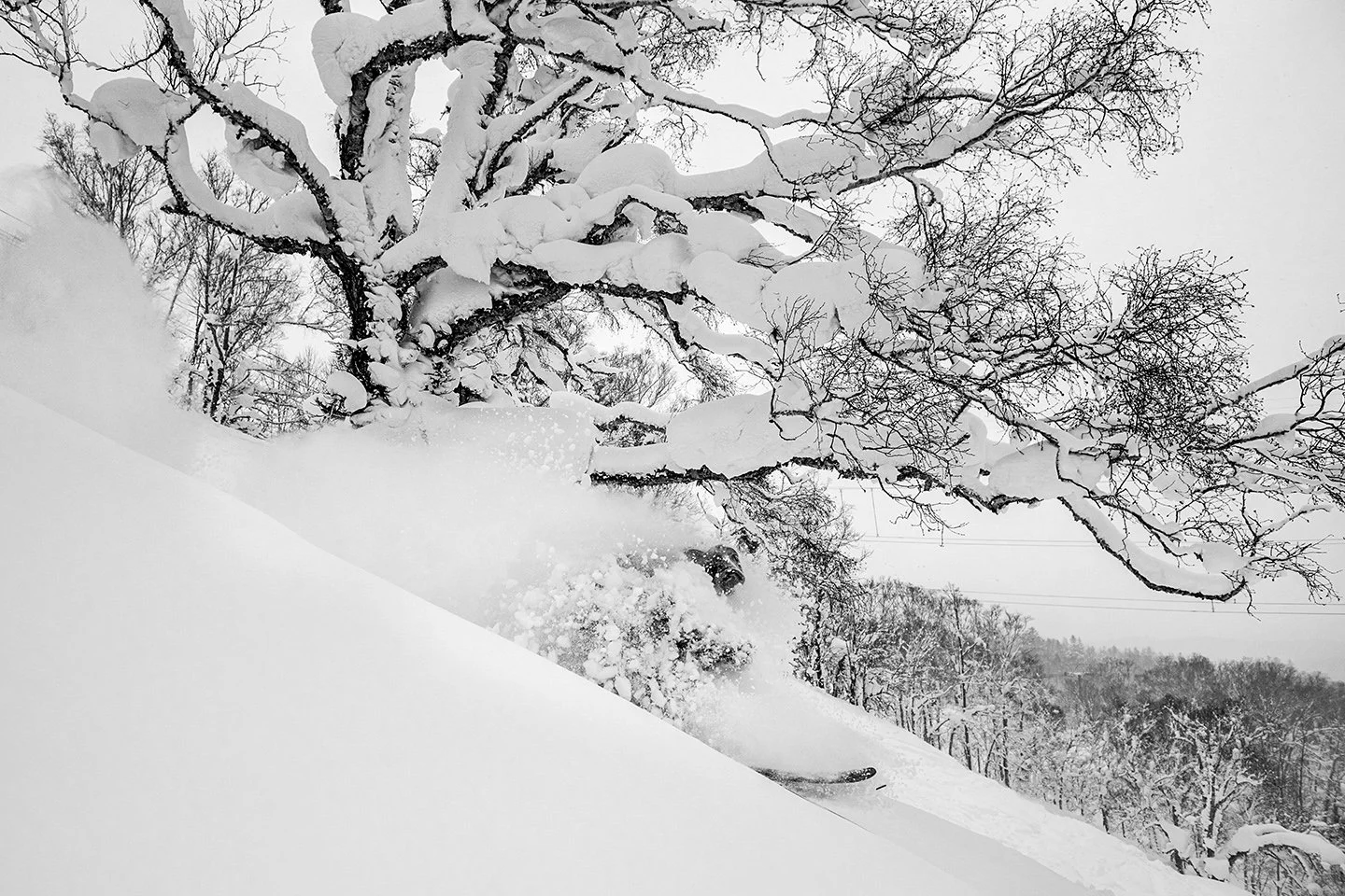 DSC_9388bw.jpg