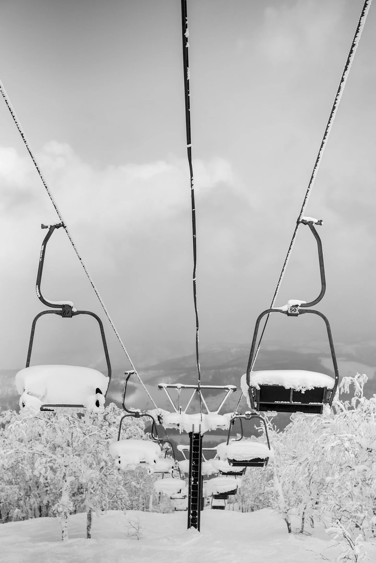 DSC_8809.jpg