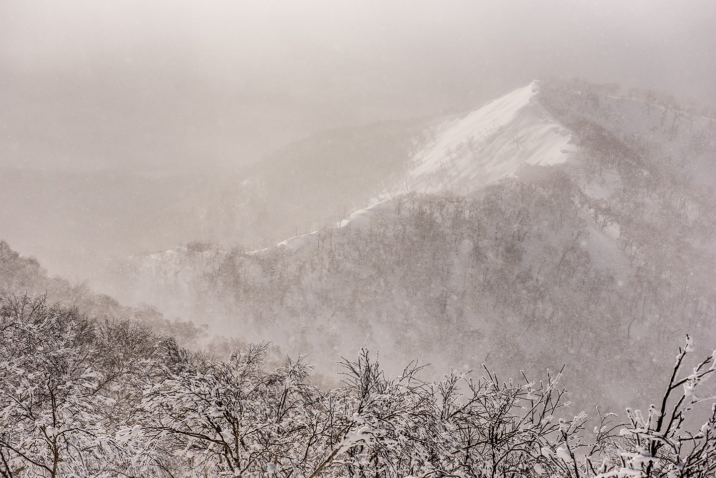 DSC_8762.jpg