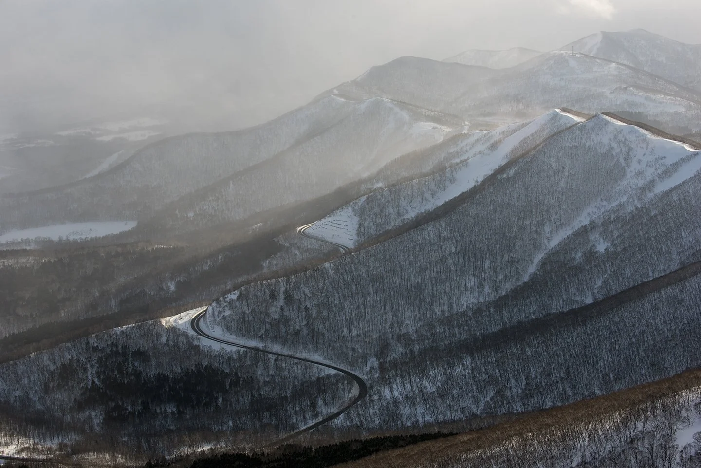 DSC_1658.jpg