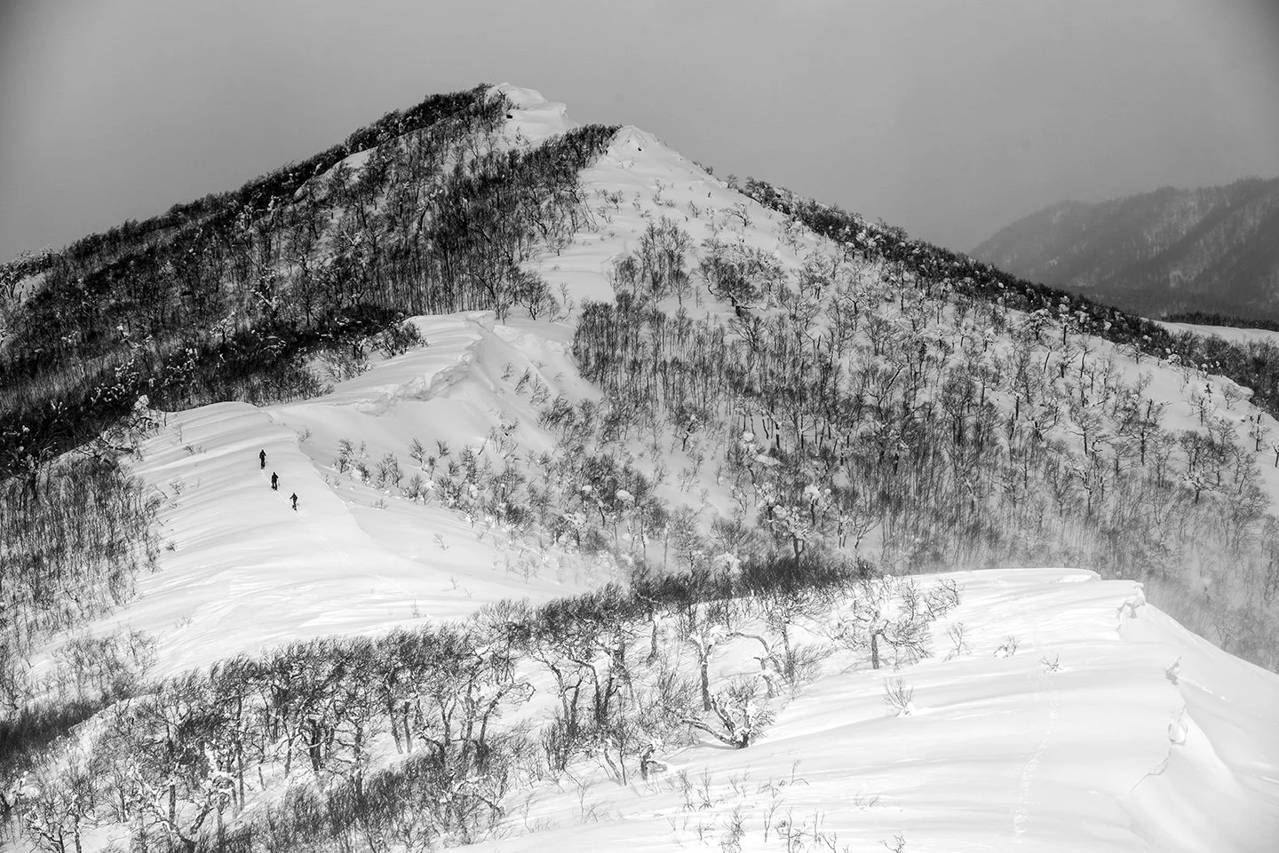 DSC_1958.jpg