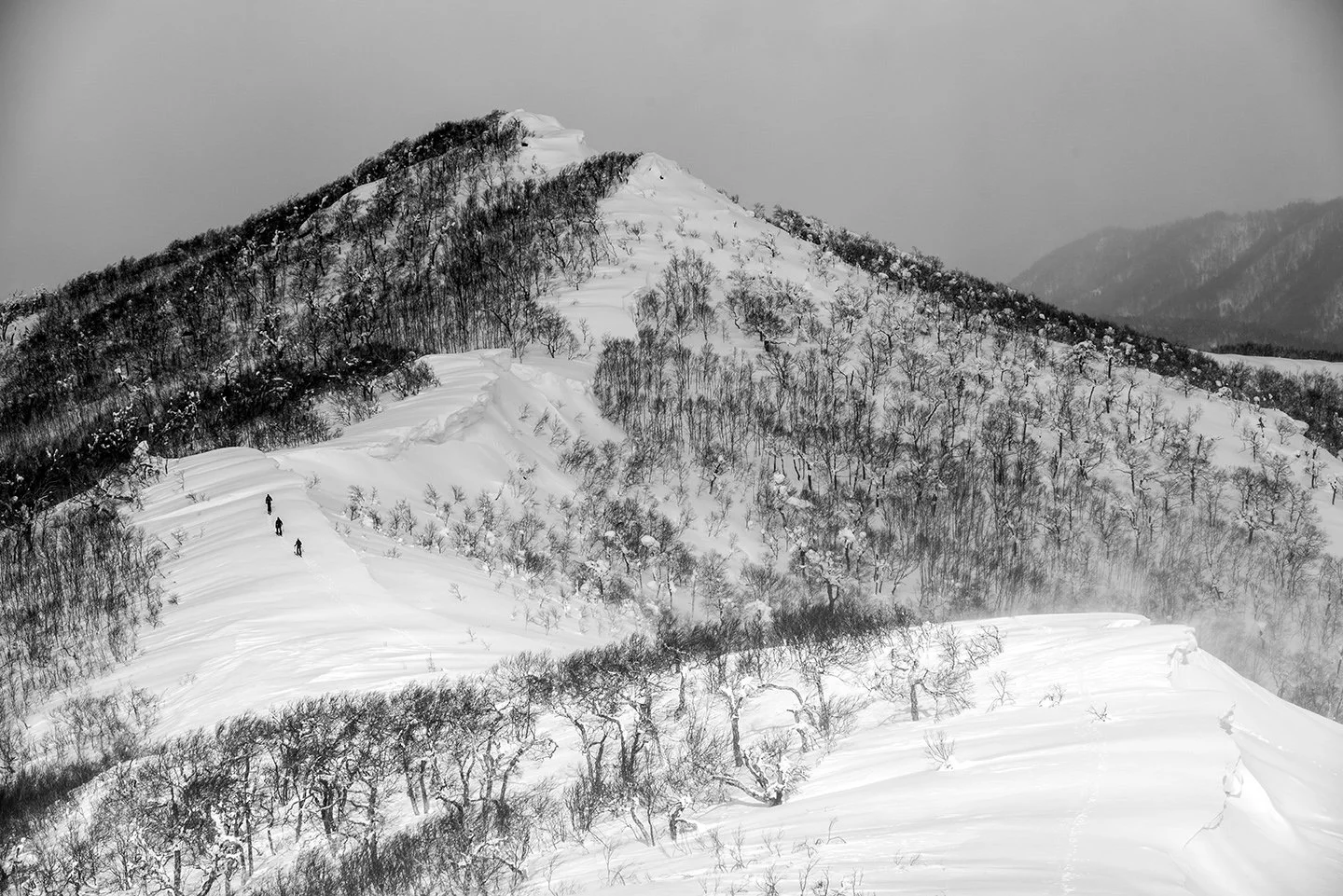 DSC_1960.jpg