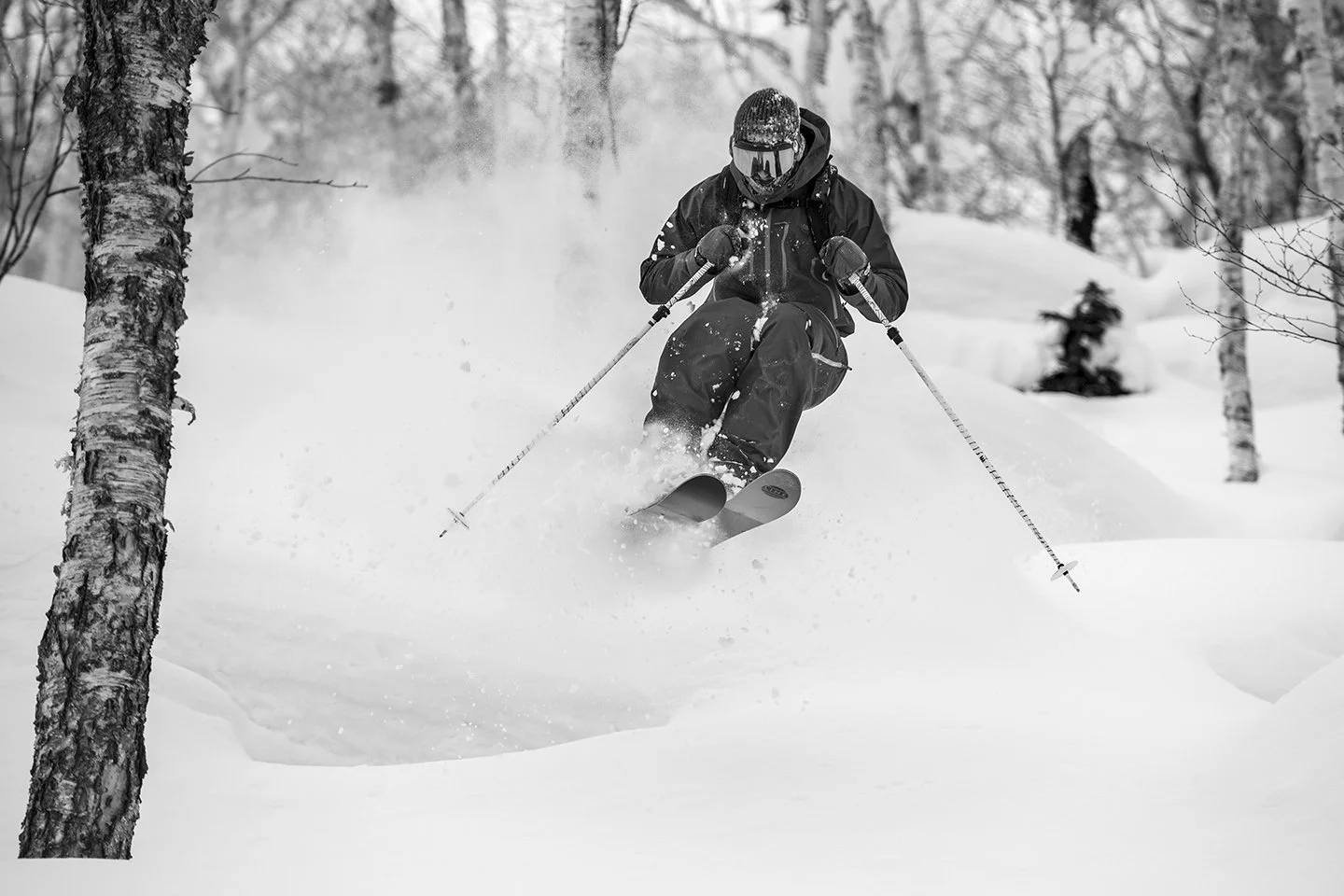 DSC_2112bw.jpg