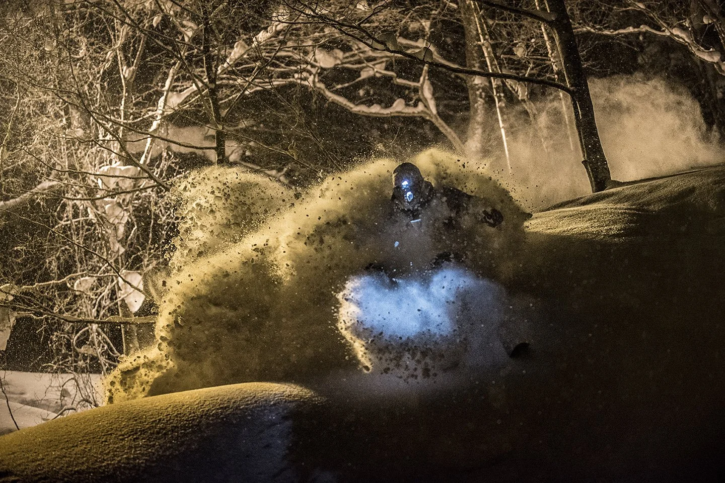 DSC_2673.jpg