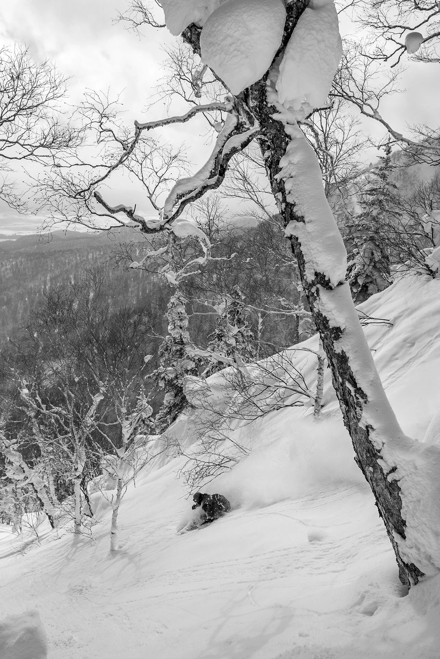 DSC_2731bw.jpg