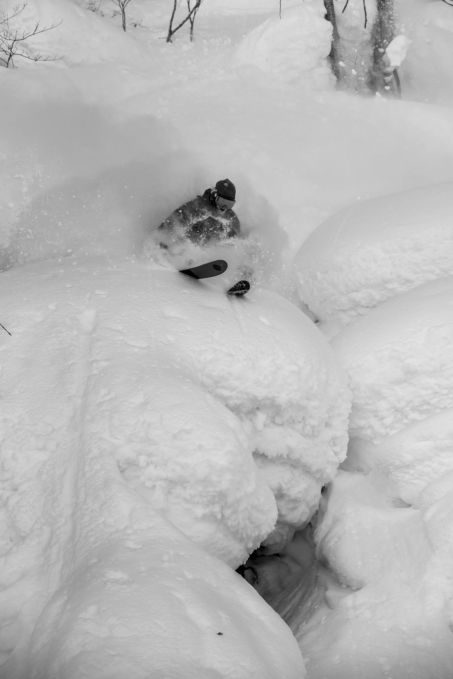 DSC_2990.jpg