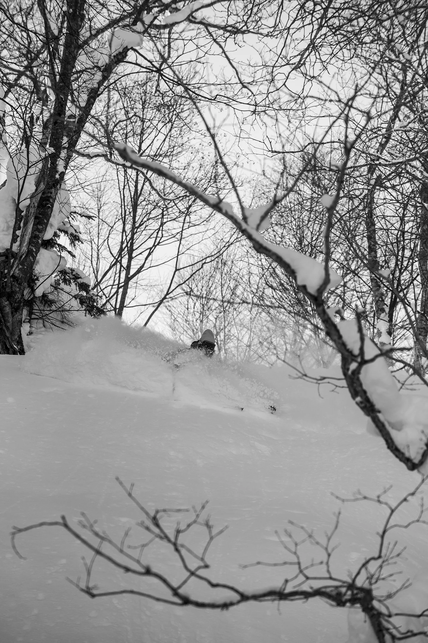 DSC_3015.jpg