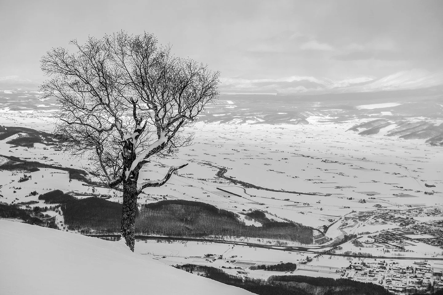 DSC_3098.jpg