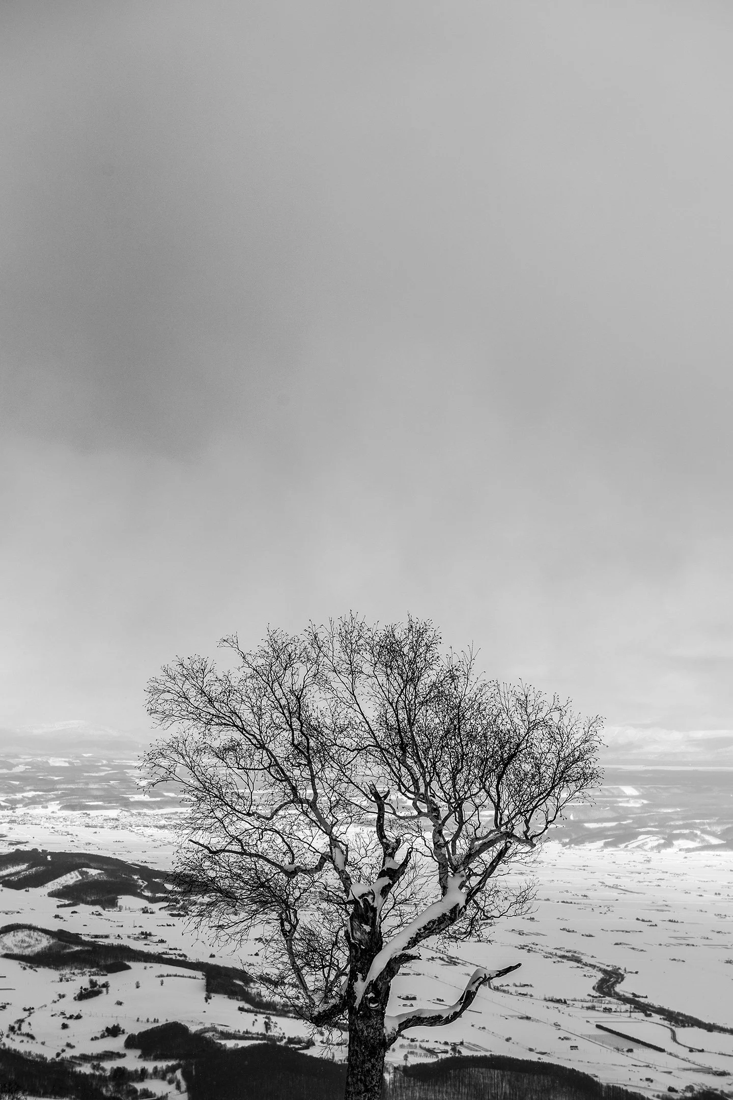 DSC_3100.jpg