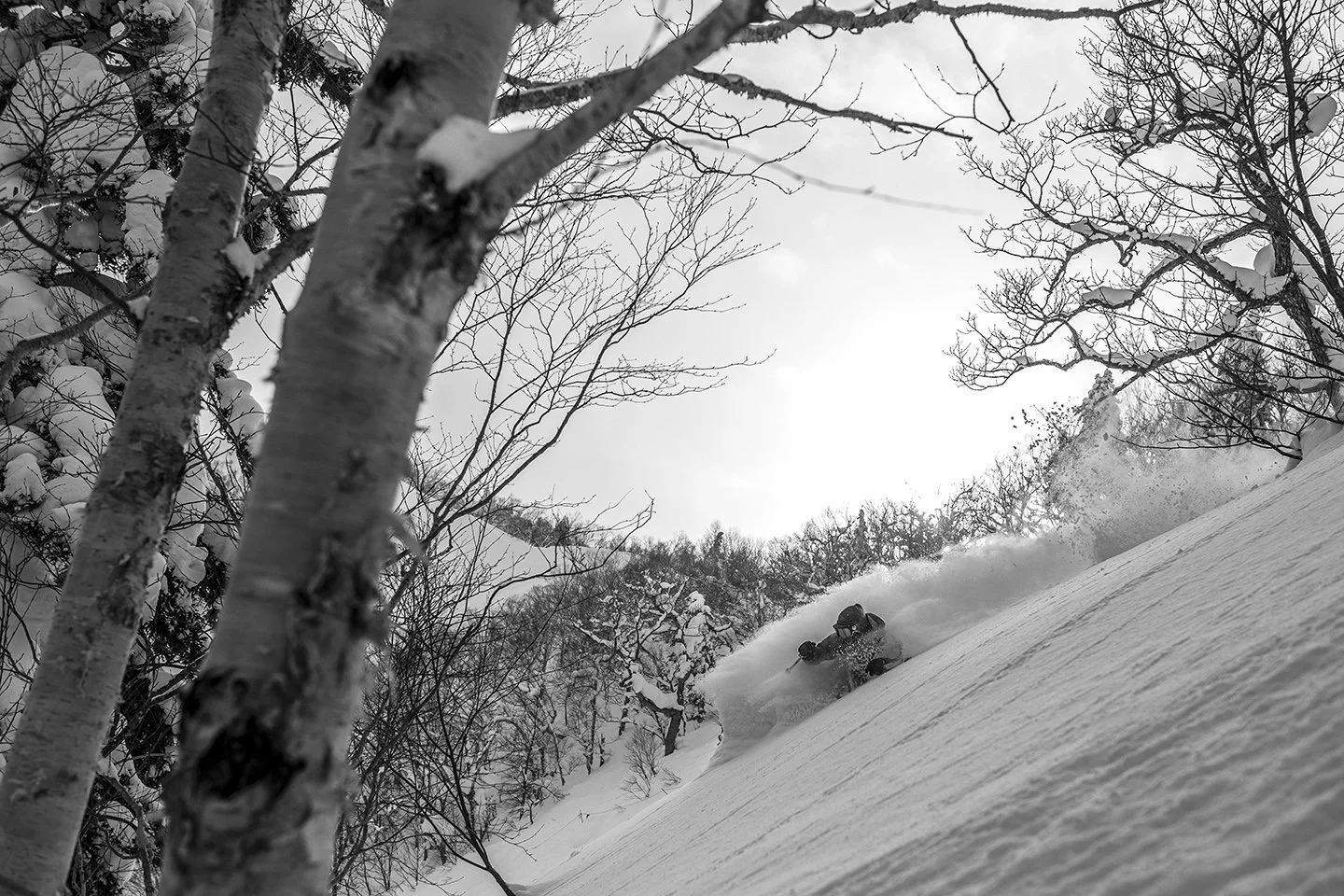 DSC_3153bw.jpg