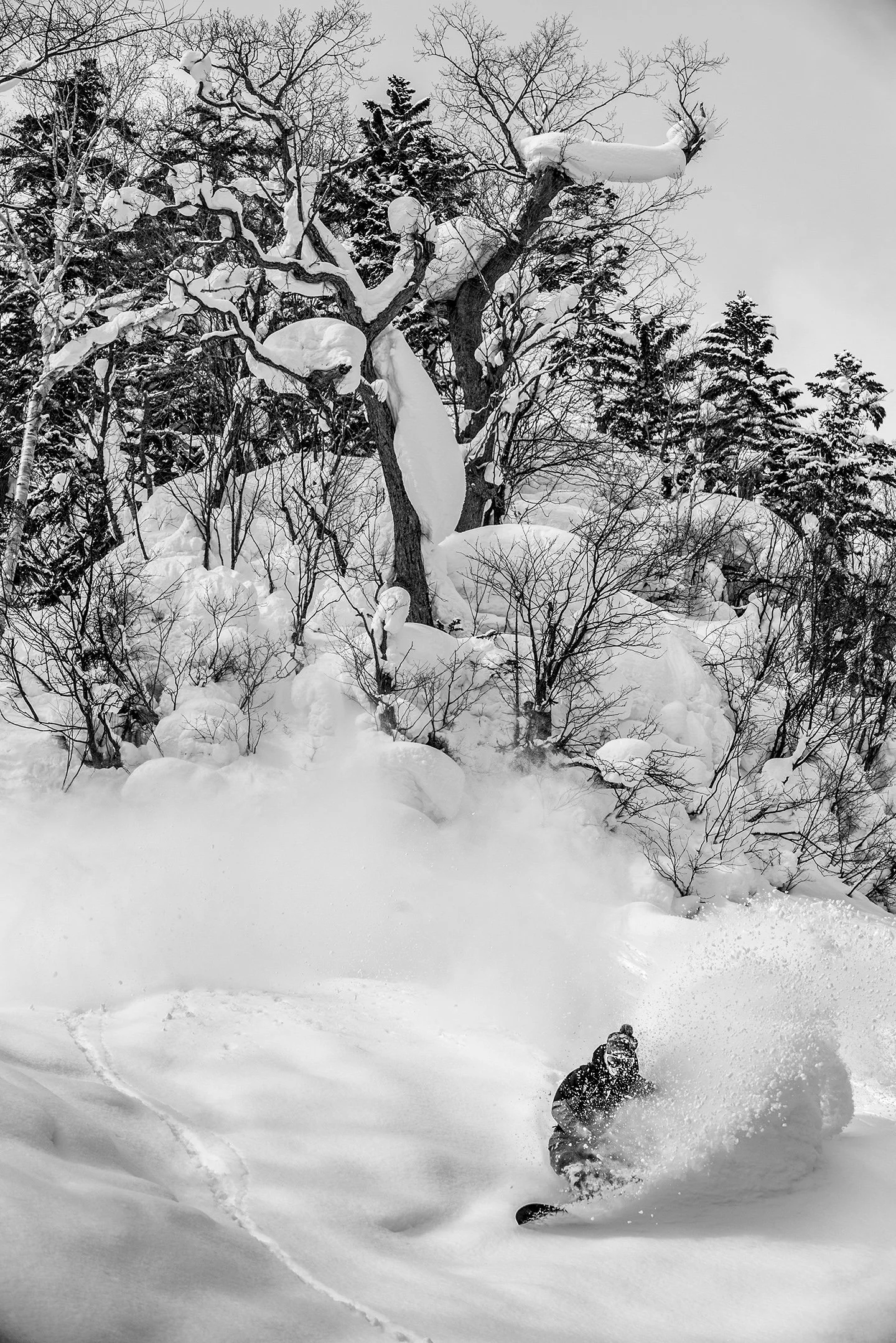 DSC_3735.jpg