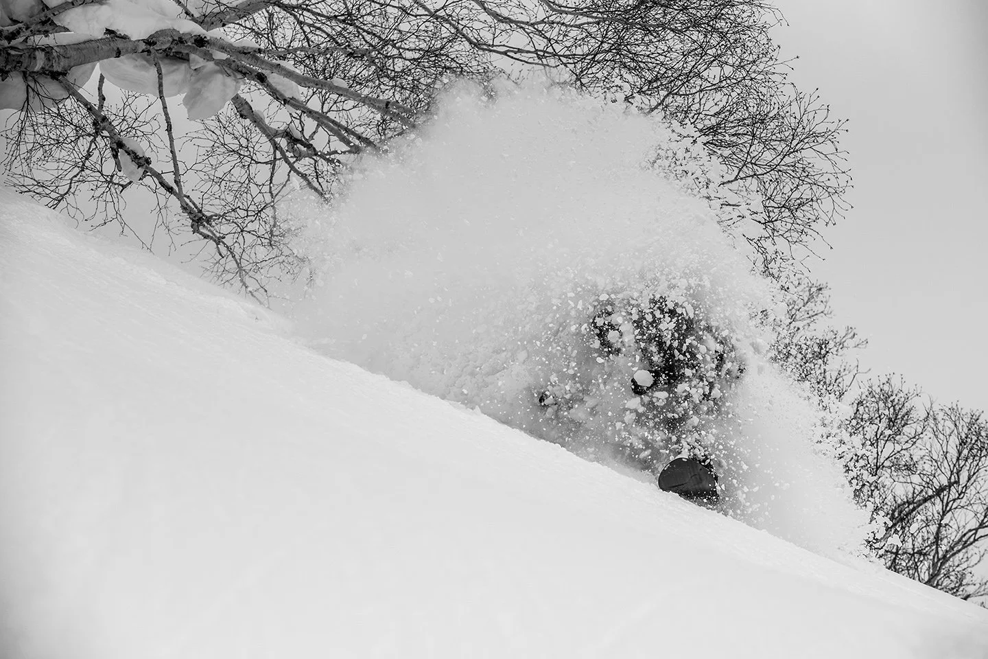 DSC_3867.jpg