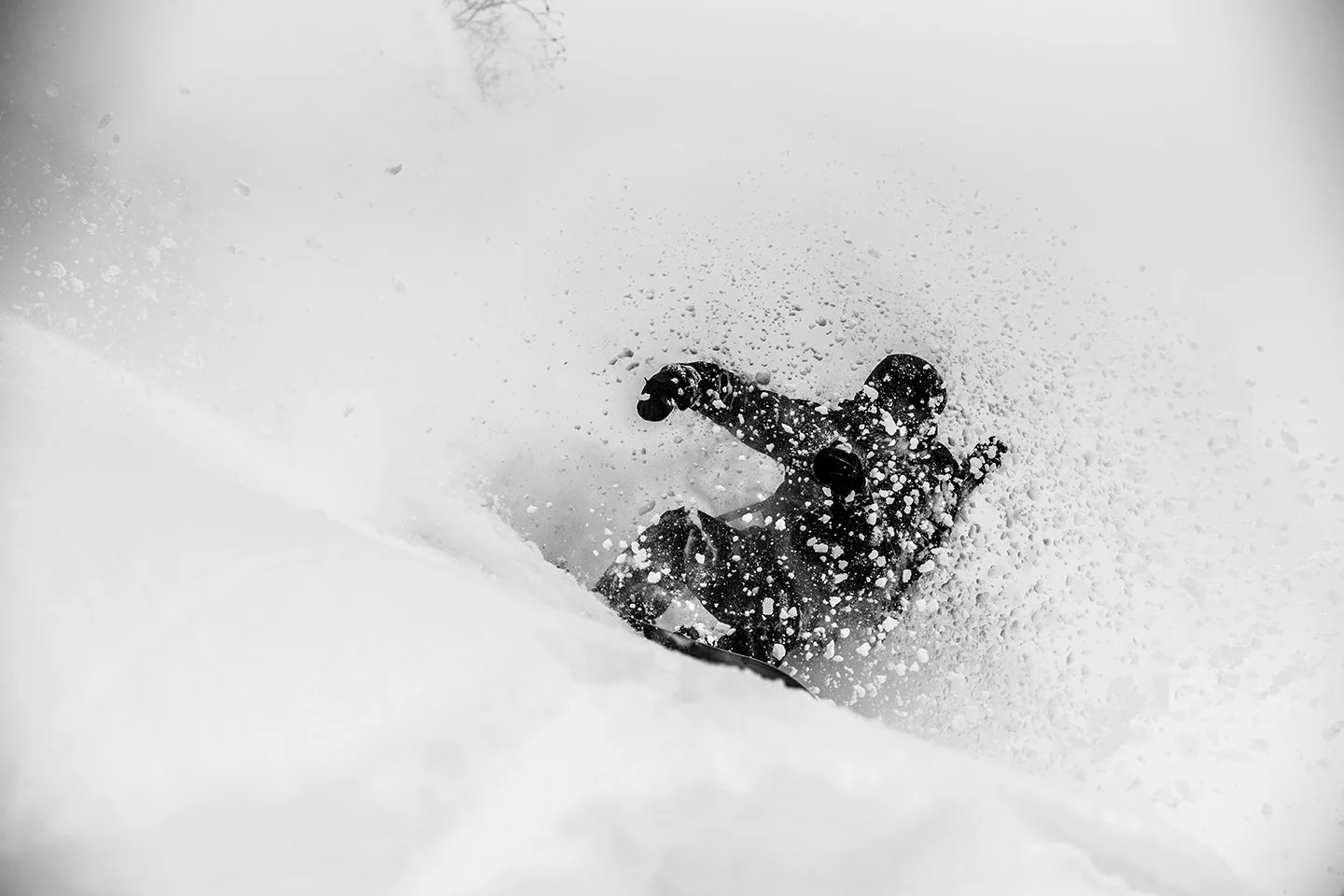 DSC_3874.jpg