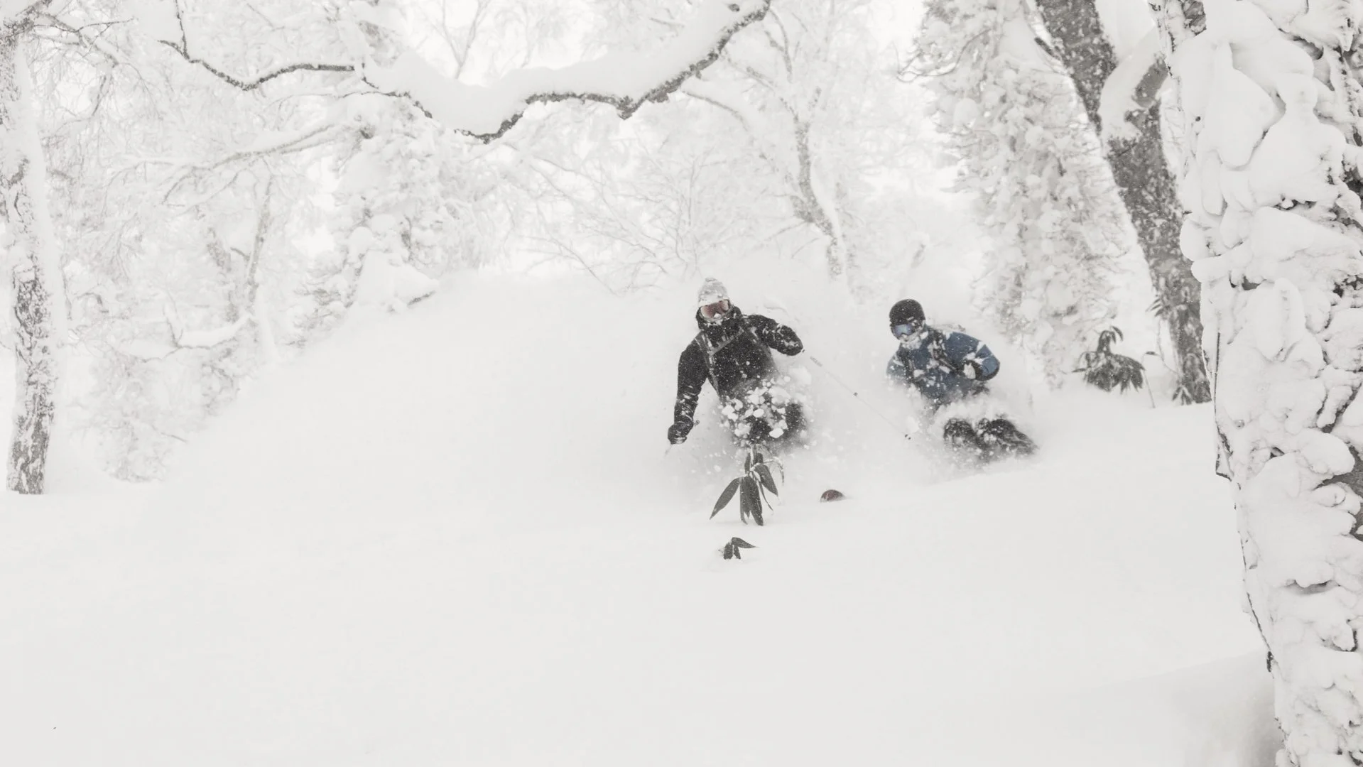 ‎Hokkaido Nights Images.‎003.jpeg