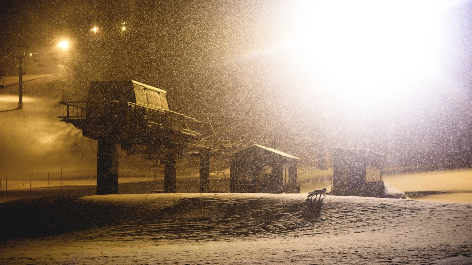 ‎Hokkaido Nights Images.‎036.jpeg