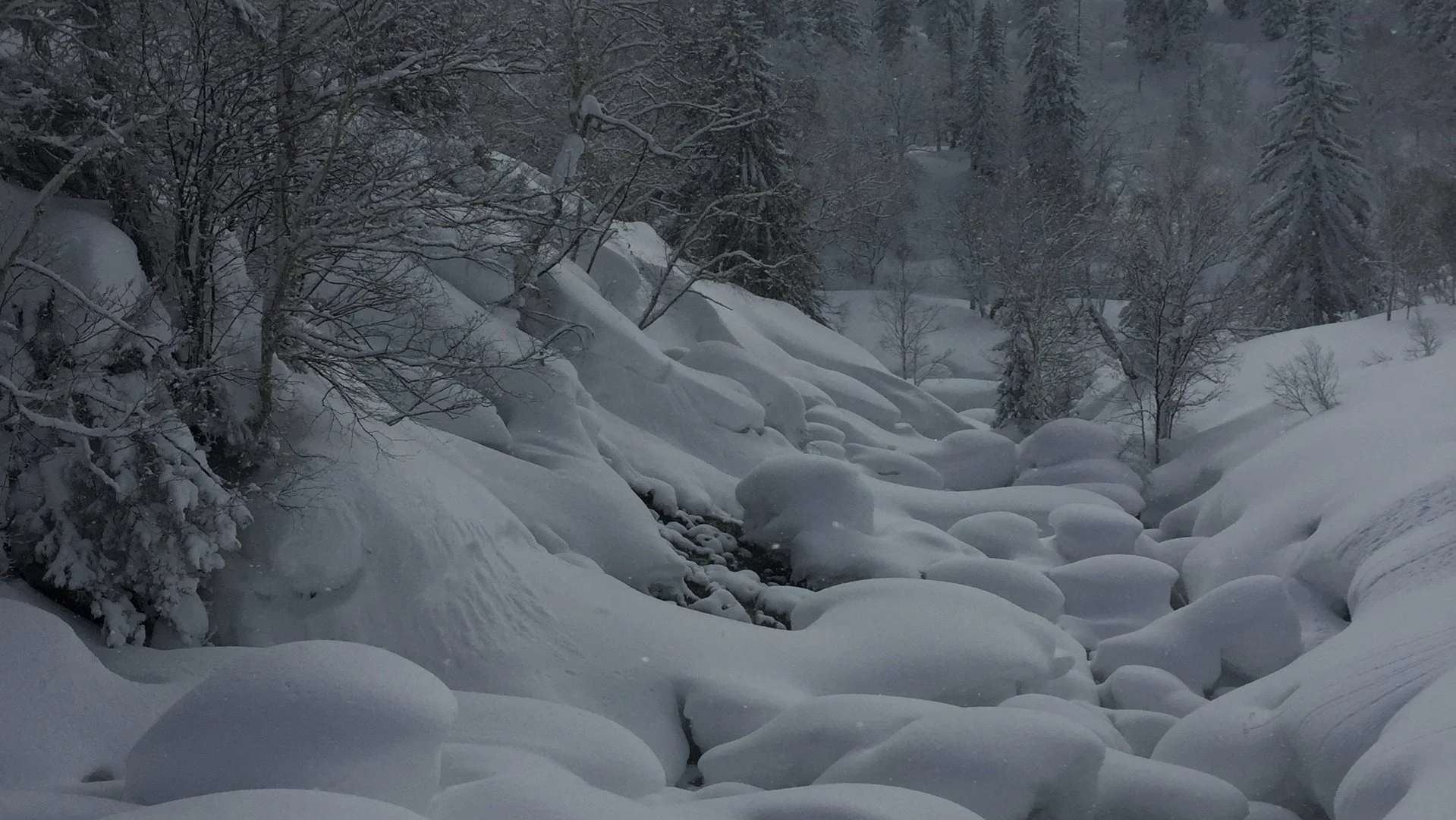 ‎Hokkaido Nights Images.‎050.jpeg