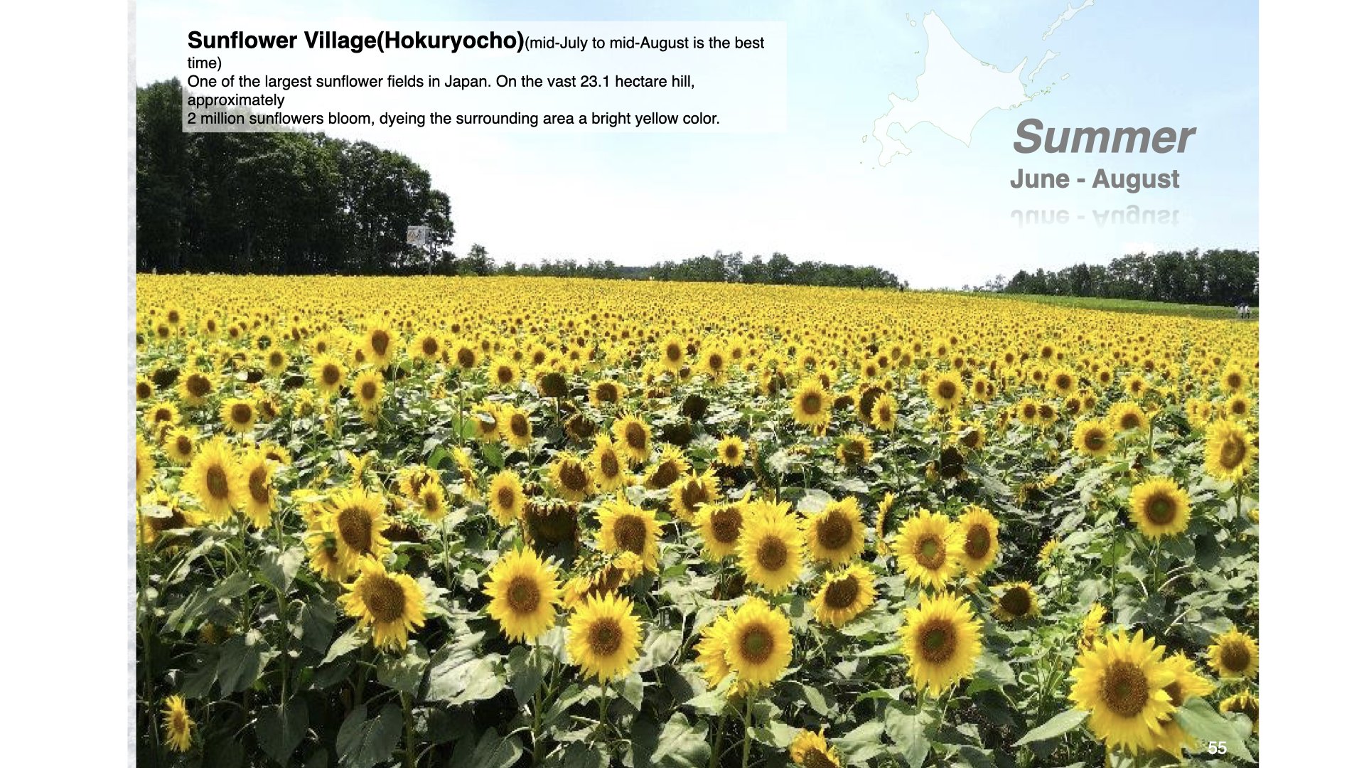 ‎Hokkaido Nights Images.‎055.jpeg