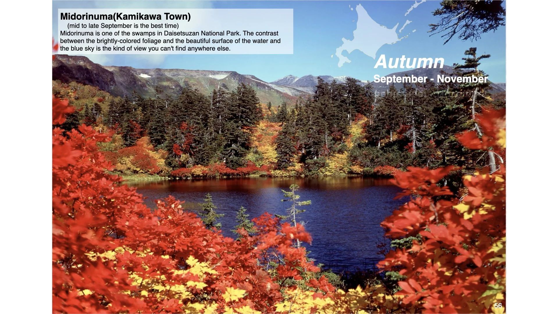 ‎Hokkaido Nights Images.‎056.jpeg