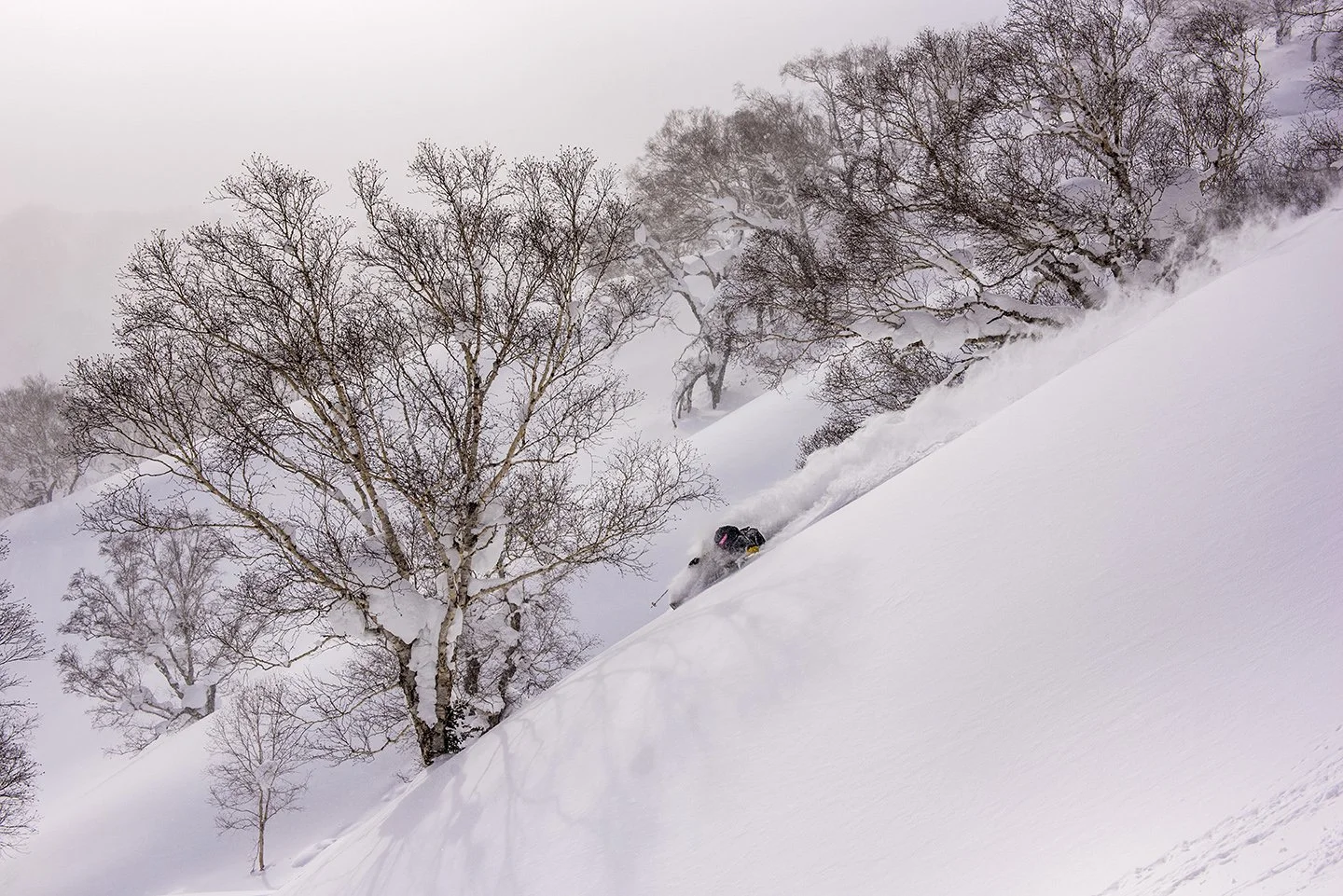 Mark & Scott Niseko Pow Adventure