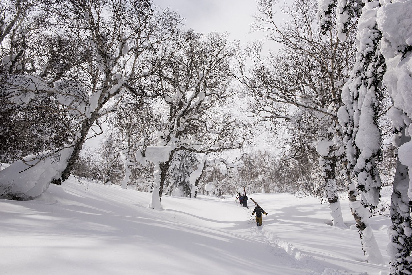 Gordon & Crew in Hokkaido