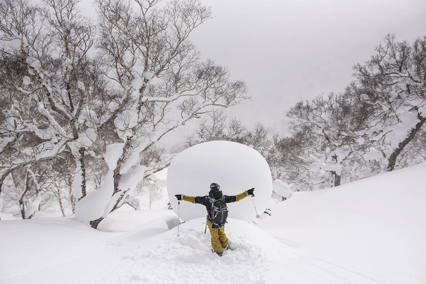 Axelrod Boys Hokkaido Pow Adventure