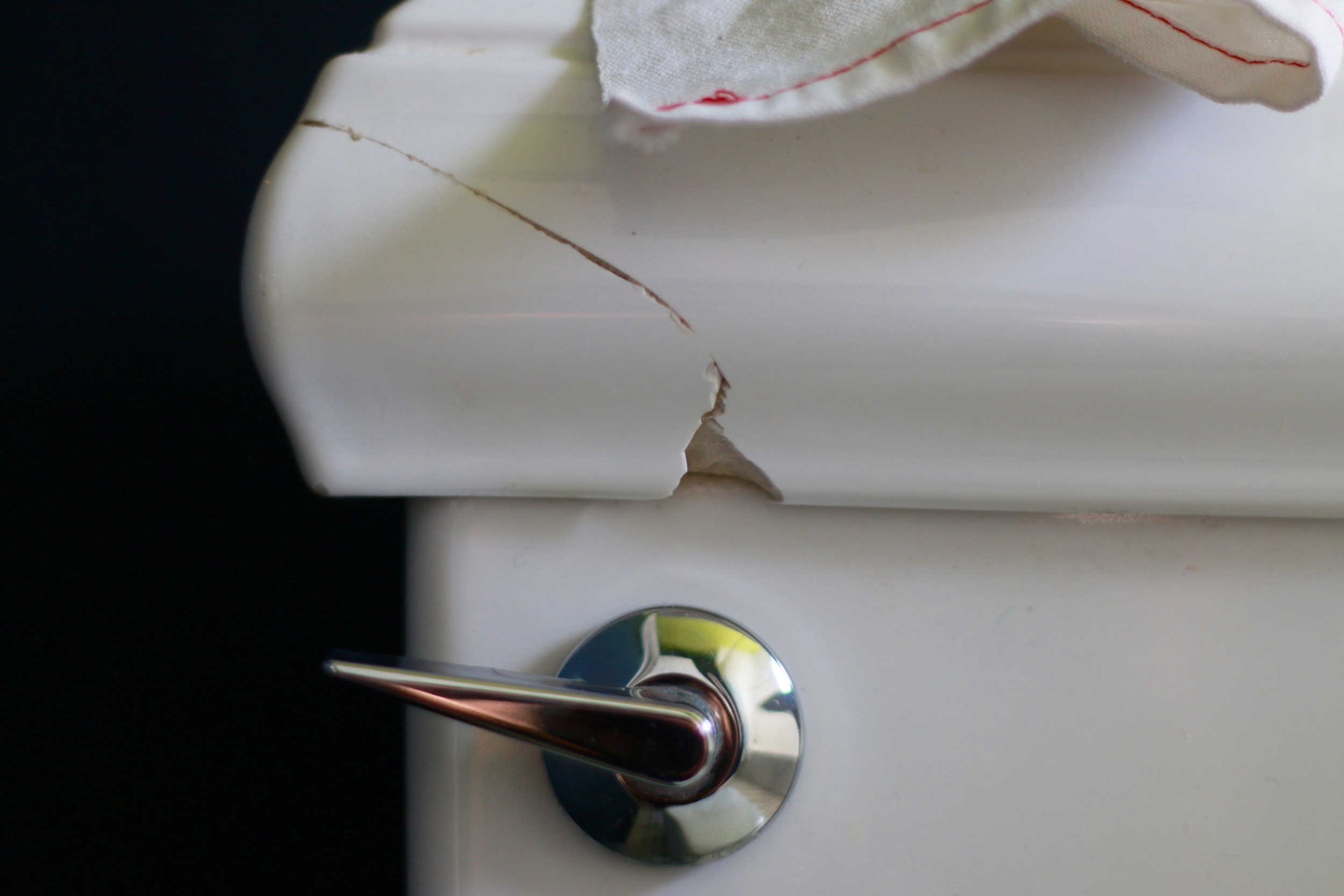 the cracked toilet seat lid my brother glued back together for us.