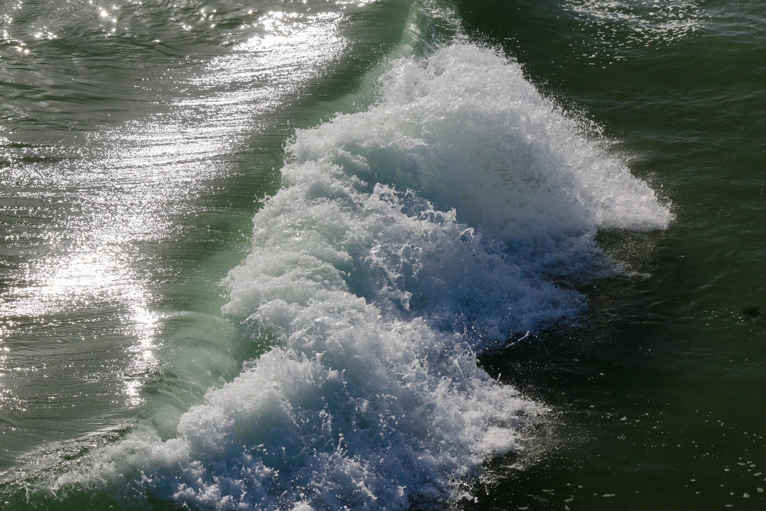 IMG_8659.jpg