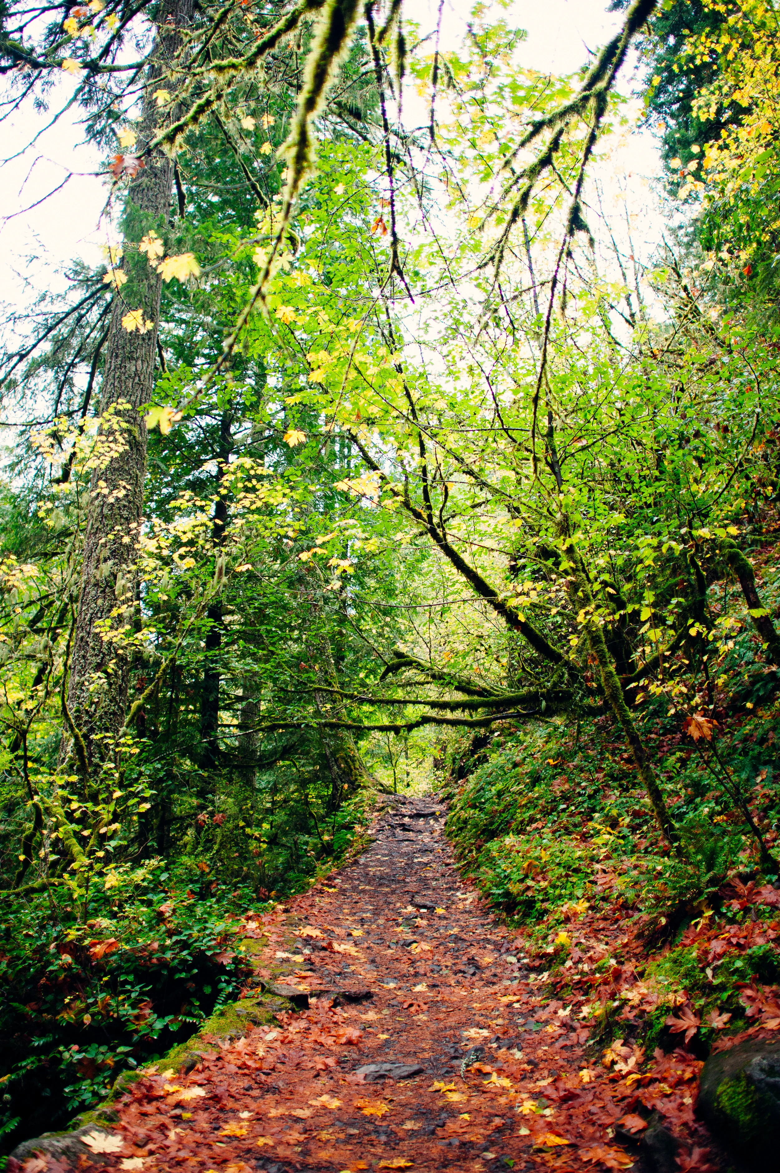 DSC_9639.jpg