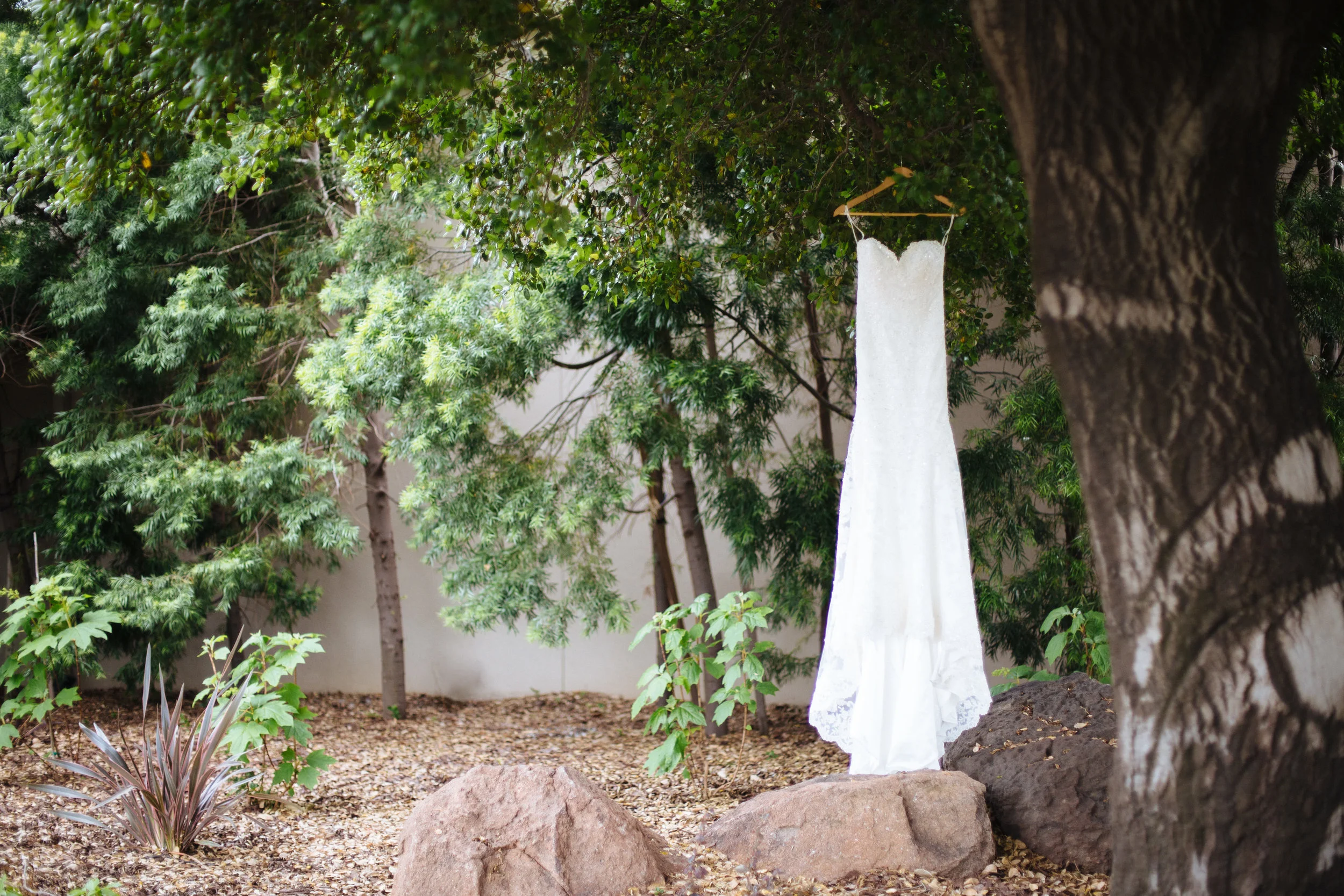 Roseville Wedding Photography