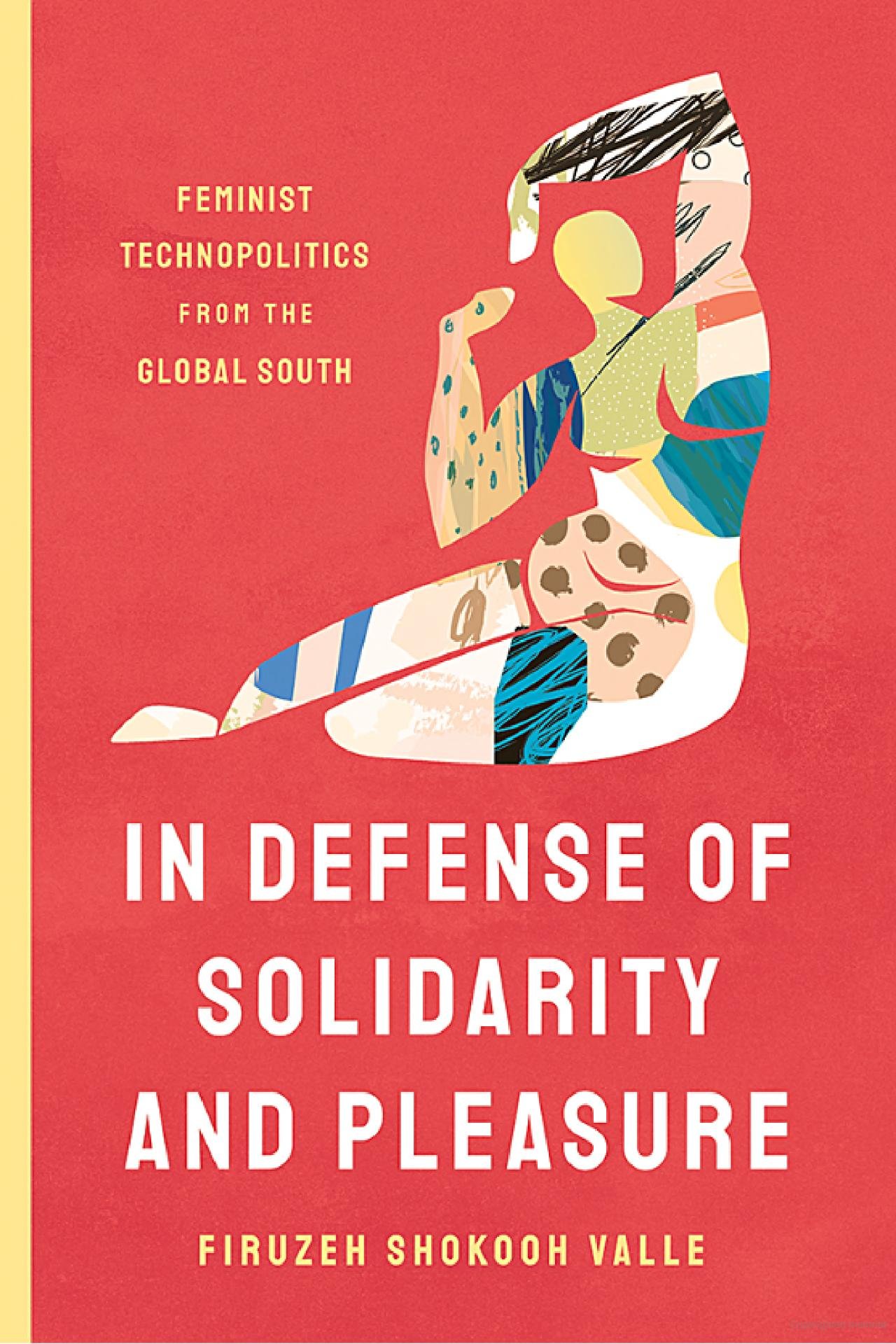 In Defense of Solidarity and Pleasure by Firuzeh Shokooh Valle