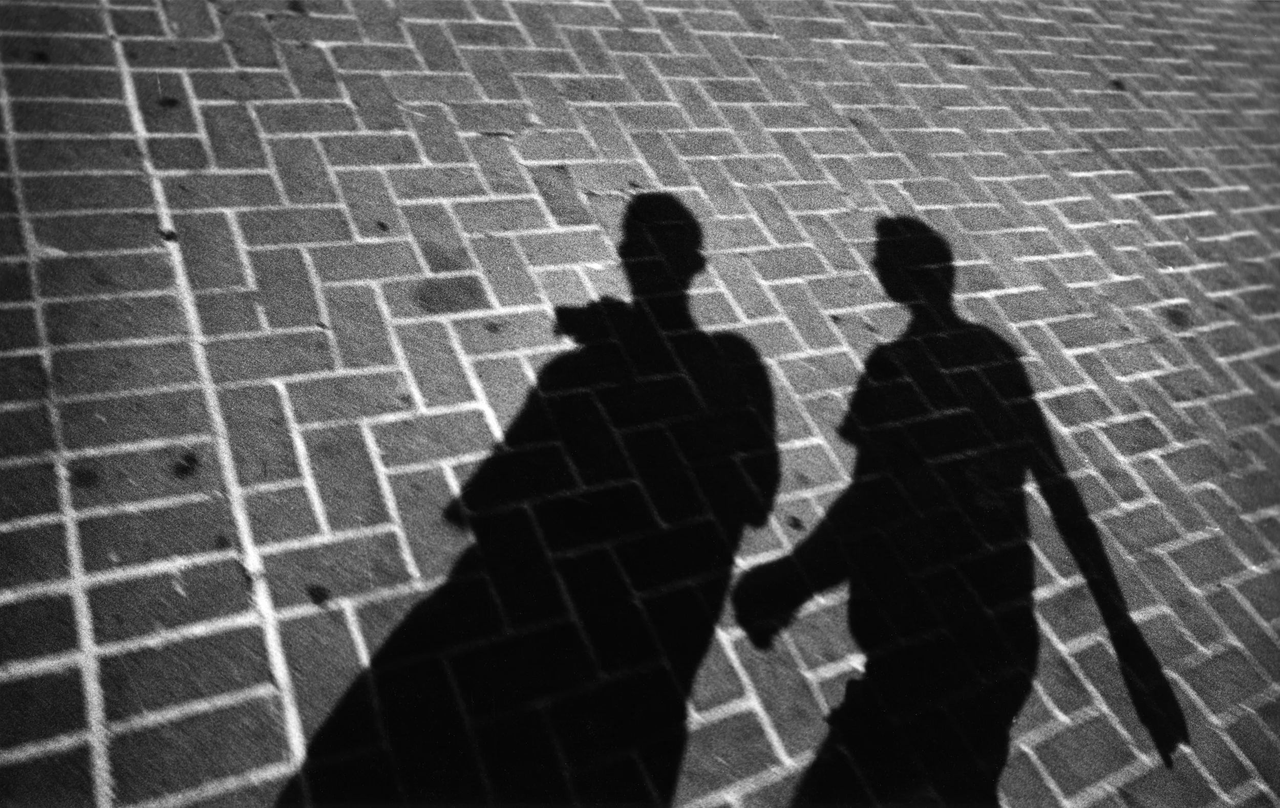 BRICK SHADOWS fix website.jpg