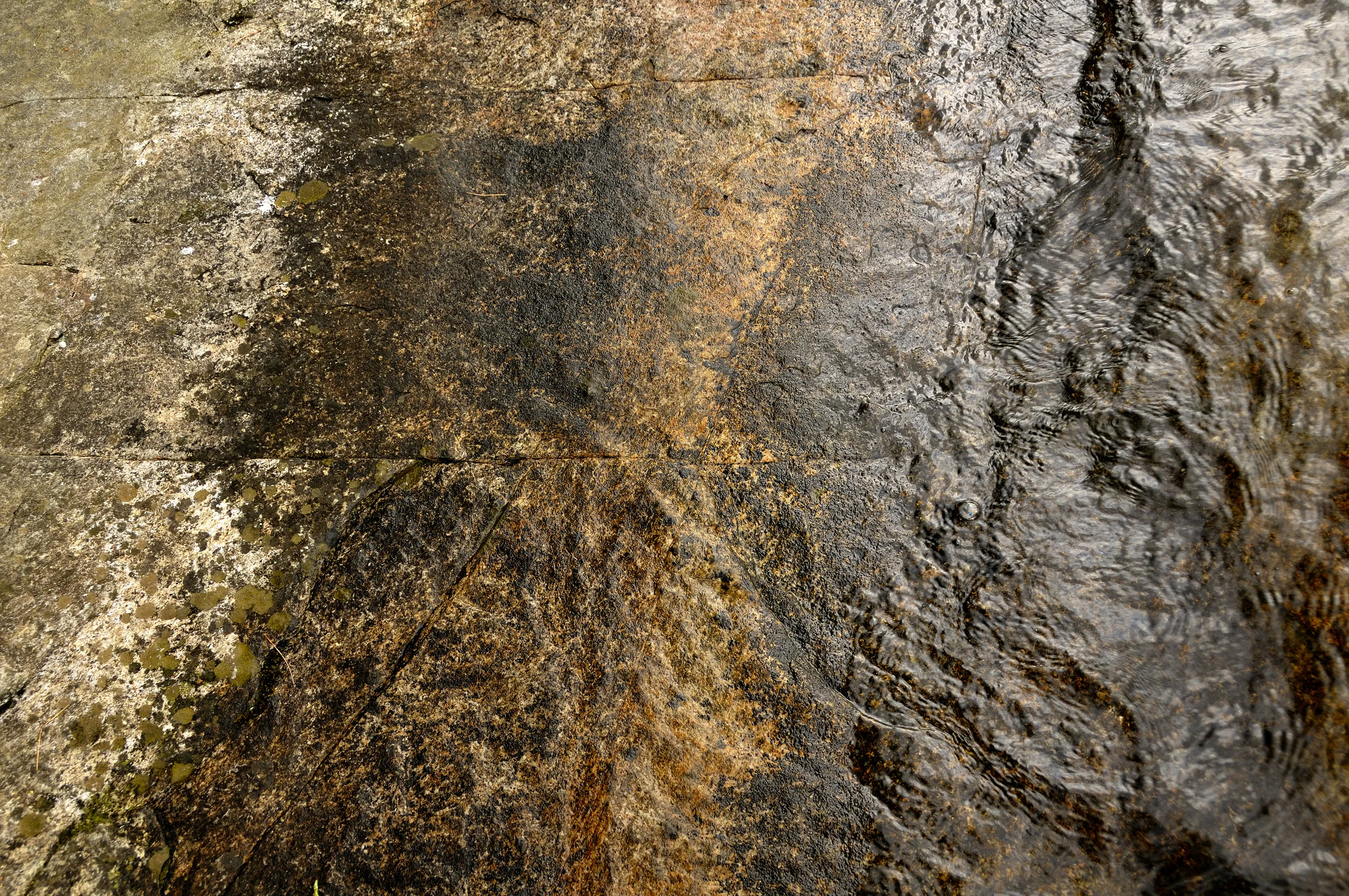 WATEROCK CU website.jpg