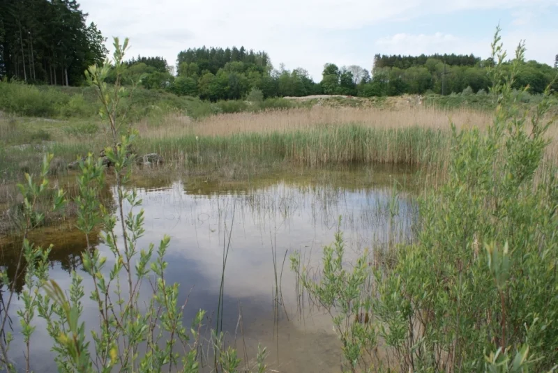 Kiesgrube Stockinger