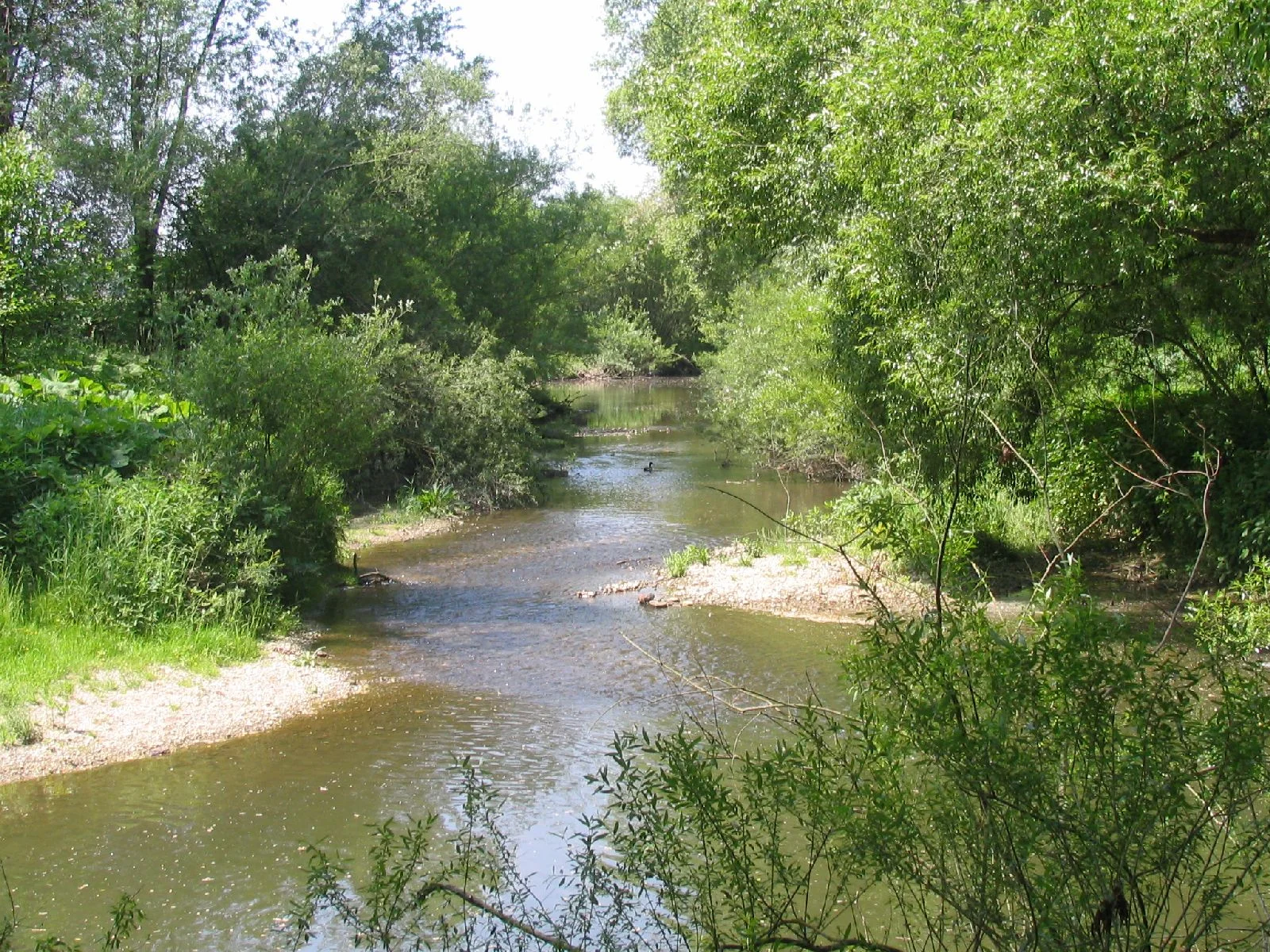 GEP Isen und Goldach