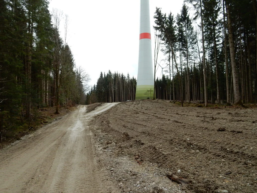 Umwelt- baubegleitung WEA Berg