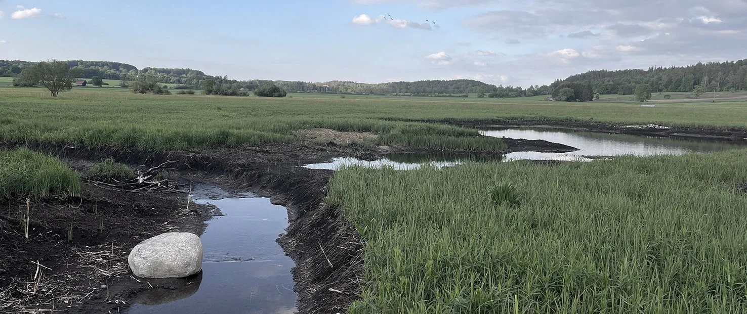 Renaturierung Gebelsrieder Graben