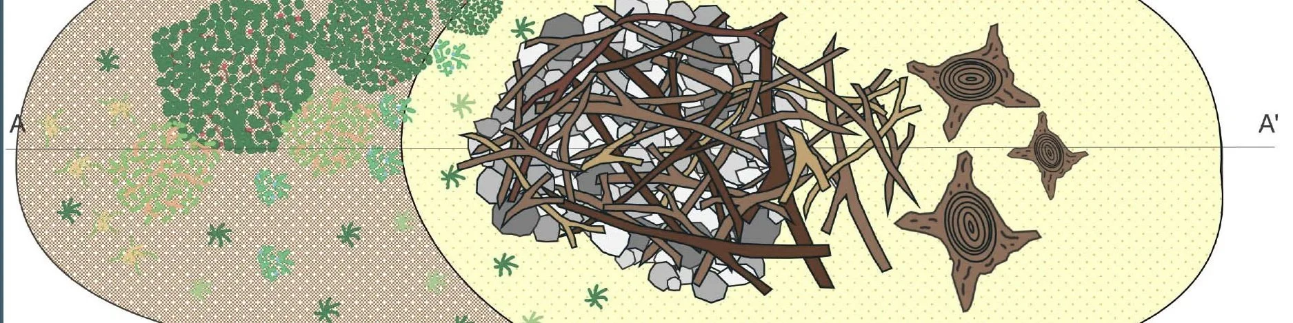 Planung Reptilienhabitat