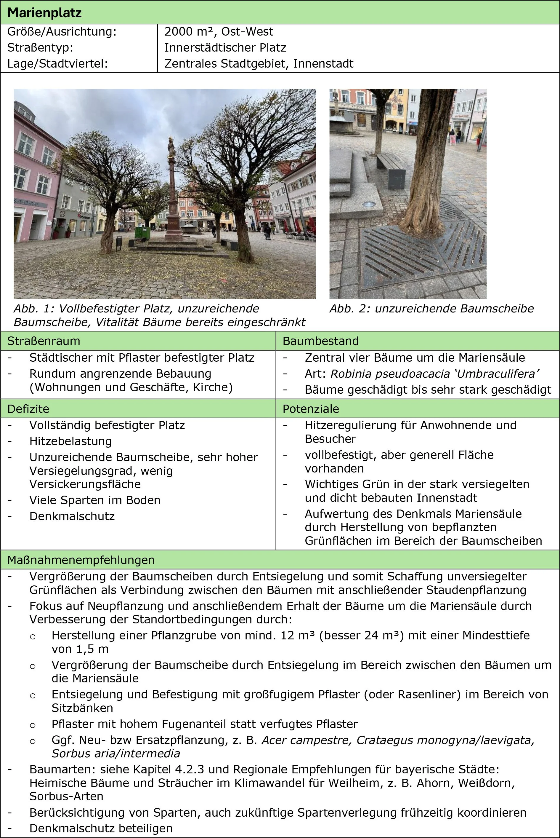 5_Steckbrief_Marienplatz.jpg