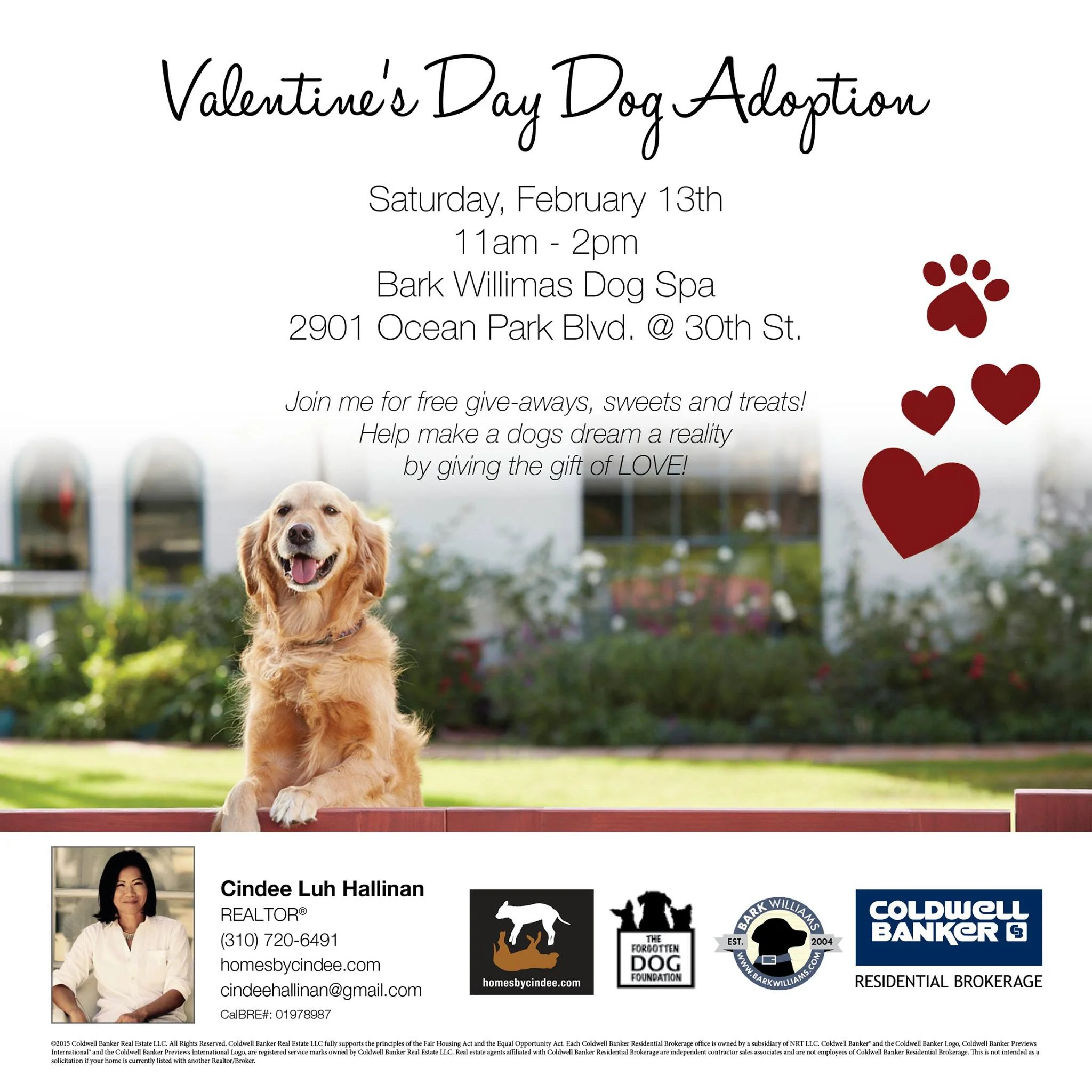 Valentine's Day Adoption Event & Photo Booth Benefiting The Forgotten Dog Foundation