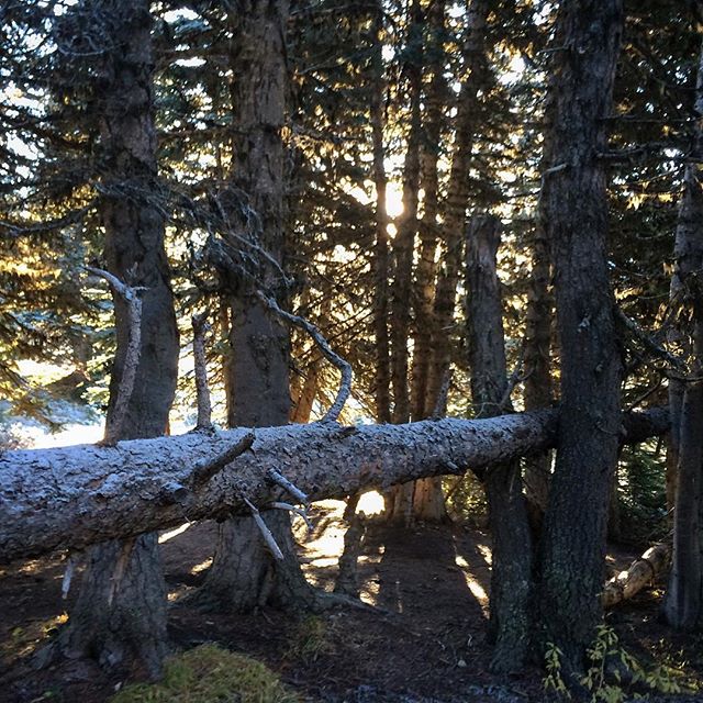 sunrise and snow #lastdayofthepct