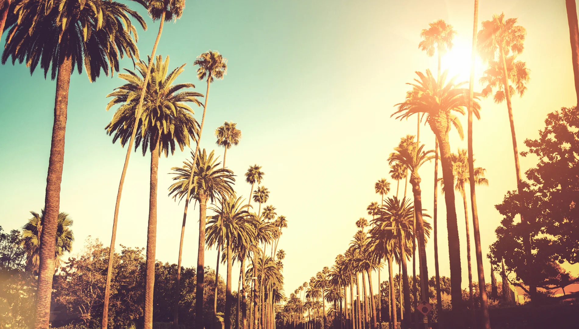 los_angeles.jpg