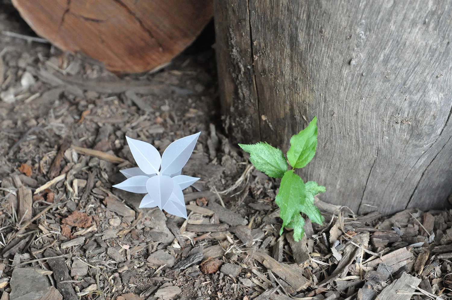 Since I Met You #5 (Murrays Cottage) 2012 Archival pigment print 22.9 x 35.7 cm