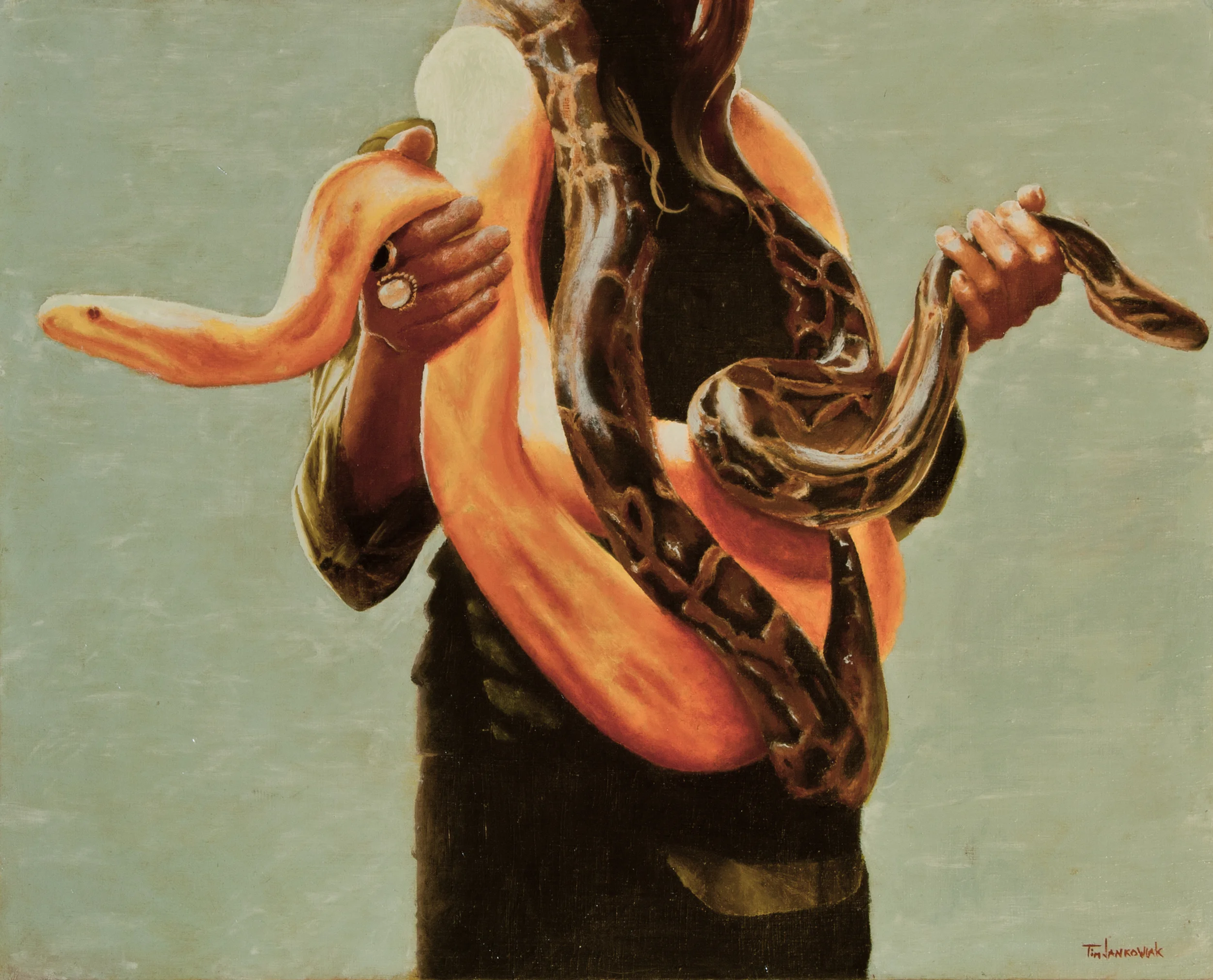 Snakes